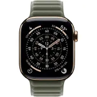 Apple Watch 42 Sage Gray Mg Sm (MGDD4ZM/A)