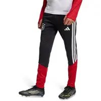 Adidas Urheiluhousut 'Deutschland 26 Tiro' punainen / musta / valkoinen