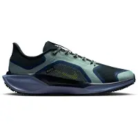 Nike Air Zm Pegasus 41 Gore-tex Juoksukengät