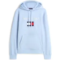 Tommy Hilfiger Collegepaita laivastonsininen / taivaansininen / punainen / valkoinen