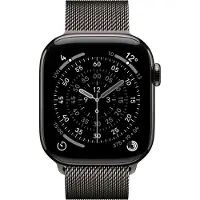 Apple Watch 42 SLate Ml (MGJ14ZM/A)