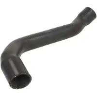THERMOTEC Jäähdyttimen letku DWM197TT
