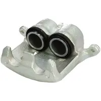 BUDWEG CALIPER Jarrusatula 343304