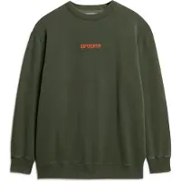 Superdry Micro Logo Graphic Loose Collegepaita