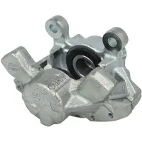 BUDWEG CALIPER Jarrusatula 342144
