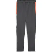 Puma Individualliga Training Pants Jr - Grey - 176