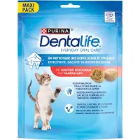 Purina Dentalife kissan hammashoitoherkku - Säästöpaketti: 2 x 140 g lohi