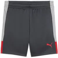Puma Individualliga Training Shorts Jr - Grey - 152