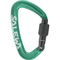 Salewa Ortles Screw Karbiinihaka