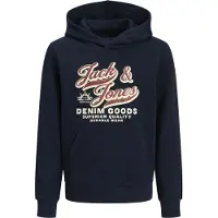 Jack & Jones Kids Logo 2 Col Huppari