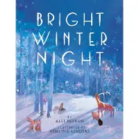 Bookoutlet Bright Winter Night