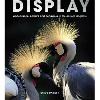 Bookoutlet Display