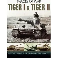 Pen and Sword Books Tiger I and Tiger II