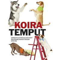 Koiratemput
