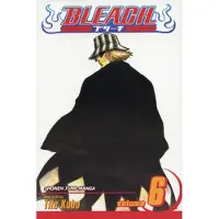 Kubo, Tite Bleach, Vol. 6