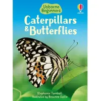 Usborne Caterpillars and Butterflies