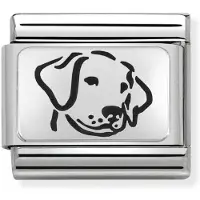 Nomination SilverShine Dog 330109-06