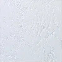 GBC sidontakansi LeatherGrain A5 250gsm Valkoinen