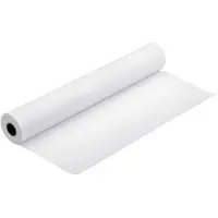 Epson Premium Semimatte Photo (C13S042152)