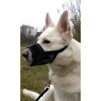 Dogman musta nailon kuonokoppa