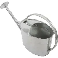 Home>it Watering Can with Rose Head 5 litres Galvanised