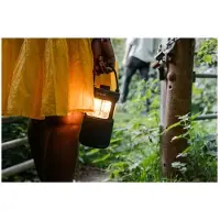 Pure Woodland Glow langaton kannettava kaiutin