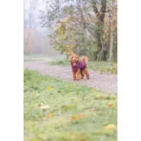 Trixie Pirou Koiran Takki