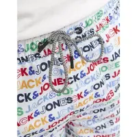 Jack & Jones Fiji Branded Swimming Shorts Monivärinen S Mies