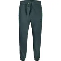 Jack & Jones Jpstkane Bleecker Sweat Pants Bf Mni - Green - 98