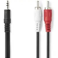 Pro MiniJack - 2xRCA - Musta - 15m