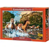 Castorland Horse Wonderland 1000p palapeli