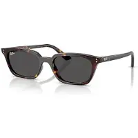 Ray-Ban Zaya - RB4456 135987 5319