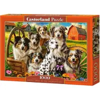 Castorland Happy Dogs In The Countryside 1000p palapeli