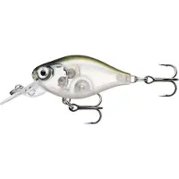 Rapala X-Light Shad 4cm vaappu