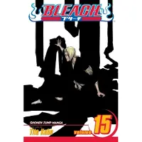 Tite Kubo Bleach, Vol. 15