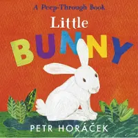 Petr Horacek Little Bunny