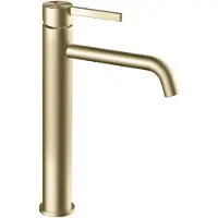 REA Foster Brush Gold High pesuallashana Musta