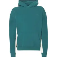 Hollister Collegepaita ecru / smaragdi
