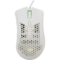 Baracuda BGM-031 Coral biały