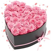 Vevor Forever Flowers, 27 säilöttyä ruusua sydämenmuotoisessa rasiassa, ikuiset kukat, kuolematon kimppu, syntymäpäivälahja naisille, hänen vaimolleen, äideille, vuosipäivä, ystävänpäivä, joulu, vaale