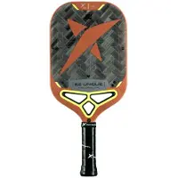 Drop Shot Axion Control 1.0 Pickleball-maila