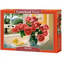 Castorland Summer Reminiscence 3000p palapeli