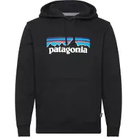 Patagonia p-6 logo uprisal hoody