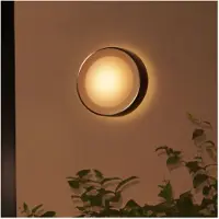 Philips Hue Daylo-seinävalaisin Ulkokäyttöön - White & Color Ambiance
