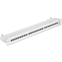 DeLOCK 43319, RJ-45, Cat6a, Telinekiinnitys, 1U, Harmaa, Metalli