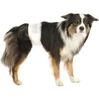 Trixie vaipat uroksille - koko L-XL: 60–80 cm, 12 kpl