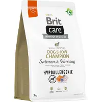 Brit Hypoallergenic Dog Show Champion