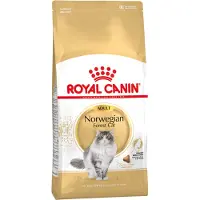 Royal Canin - Norwegian Forest Adult Kuivaruoka kissoille 10 kg - Kissat - Kissanruoka - Kuivaruoka