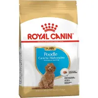 Mars - Poodle Puppy Kuivaruoka pennuille 3 kg - Koirat - Koiranruoka - Kuivaruoka