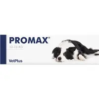 VetPlus Ltd oraalipasta Akuutin ripulin hoitoon koirille, kissoille ja kaneille 18 ml